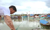 Ngư dân Hà Tĩnh hối hả neo thuyền chống bão Côn Sơn