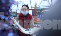 Cảng cá lớn nhất Hà Tĩnh trúng đậm ngày cuối năm