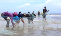 Độc đáo nghề ‘đi giật lùi’ kiếm nửa triệu mỗi ngày ở cửa biển