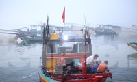 Sốt ruột dự án hậu cần nghề cá 400 tỷ có tốc độ... rùa bò