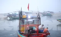 Sốt ruột dự án hậu cần nghề cá 400 tỷ có tốc độ... rùa bò