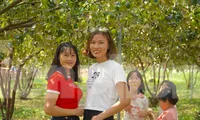 Mê mẩn vườn táo trĩu quả, giới trẻ đổ xô đến check-in