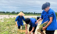 Thanh niên, bộ đội giúp người dân khắc phục sau trận lũ chưa từng có ở Hà Tĩnh