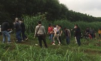 Hơn 40 cảnh sát bao vây hàng chục đối tượng đánh bạc giữa núi rừng