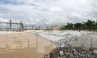 Bờ kè dự án trên 300 tỷ đồng sụt lún, hư hỏng trước khi bão số 7 đổ bộ