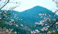 Nở rộ tour du lịch Điện Biên 
