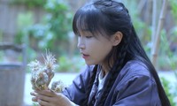 Clip &apos;tiên nữ đồng quê&apos; Lý Tử Thất tự trồng chế biến các món với tỏi hút triệu view