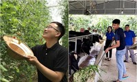 Bạn trẻ rời phố về quê, khởi nghiệp làm nông, khó hay dễ? 