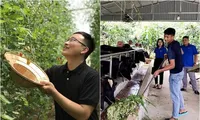 Bạn trẻ rời phố về quê, khởi nghiệp làm nông, khó hay dễ? 
