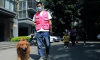 Bỏ việc văn phòng, giới trẻ Trung Quốc làm nhiều nghề lạ lùng
