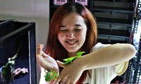 Những &apos;chiếc lá&apos; tiền triệu khiến người trẻ mê mẩn