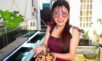Vợ chồng trẻ thu nhập gấp 3 dân văn phòng từ khoảng sân thượng