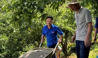 Bí thư Đoàn người Mông làm du lịch 