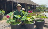 Về quê trồng sen, nam cử nhân kiếm lợi nhuận khủng nhờ mắc &apos;bệnh&apos; liều