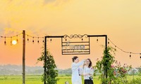 Quán cà phê giữa cánh đồng lúa chín vàng ở ngoại ô Hà Nội thu hút giới trẻ 