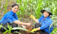 Dấu ấn thanh niên trên những tuyến đường xanh