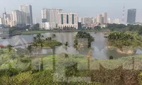 Cưỡng chế thu hồi đất thực hiện dự án Công viên Phùng Khoang