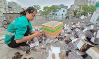 Vứt rác thải trên hè phố, lòng đường tại Hà Nội bị phạt đến 4 triệu đồng
