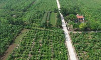 Hà Nội: Rút gọn quy trình về đất đai và không thu phí để xóa nhà tạm, nhà dột nát