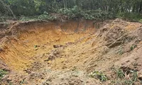 [VIDEO] Toàn cảnh vụ hủy hoại tài sản của người dân, trộm đất quy mô lớn ở Hà Nội