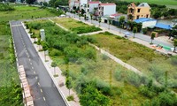 Chủ tịch Hà Nội yêu cầu xử lý hành vi &apos;thổi giá&apos; bất động sản