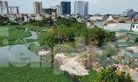 Vụ san lấp hồ giữa Thủ đô: Quận Hoàng Mai thừa nhận phức tạp