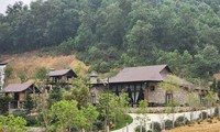 Hà Nội: Lấn chiếm đất rừng, xây dựng khu nghỉ dưỡng trái phép