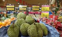 Sầu riêng loạn giá, xuất khẩu giảm sâu