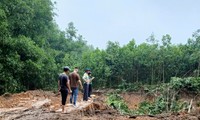 Hà Nội: &apos;Đất tặc&apos; ngang nhiên phá hoại cây trồng của người dân, xúc trộm hơn 500m3 đất 