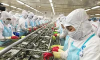 Thủ tướng yêu cầu đánh giá thông tin doanh nghiệp buộc phải bán cho nước ngoài vì ‘đói vốn’ 