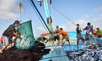 Thủ tướng yêu cầu quyết tâm gỡ &apos;thẻ vàng&apos; thủy sản 