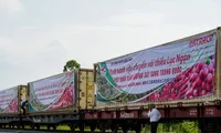 Thủ tướng: Tăng xuất khẩu nông sản sang Trung Quốc bằng đường sắt