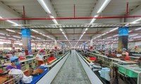 TPHCM xây dựng 8 bộ tiêu chí cho các lĩnh vực, phục hồi kinh tế