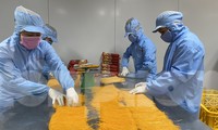 Ông Nguyễn Thiện Nhân: Ngăn chặn doanh nghiệp phá sản do dịch COVID-19