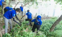 Thành Đoàn TP. HCM sôi nổi ra quân chương trình ‘Chủ nhật Xanh&apos; lần thứ 150