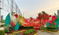 Những điểm chơi Xuân 2024 mà bạn trẻ Sài Gòn không nên bỏ qua