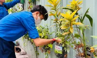Đoàn viên, sinh viên TP. HCM hăng hái hưởng ứng Ngày cao điểm tình nguyện xây dựng đô thị văn minh