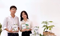Giấc mơ đưa bơ Việt ra thế giới