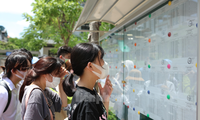 Bộ GD&amp;ĐT muốn các trường đại học &apos;giãn&apos; thời gian xác nhận nhập học cho thí sinh 
