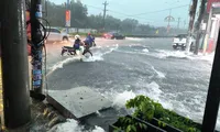 Mưa lớn gây nhiều thiệt hại, một người nghi bị nước cuốn mất tích