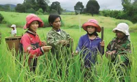 Hợp nhất chương trình nông thôn mới và giảm nghèo bền vững