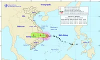 Dự báo đường đi và vùng ảnh hưởng của bão số 5.
