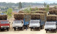 Công suất nhà máy đạt 18.000 tấn mía/ngày
