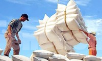 Ảnh minh họa. Nguồn: Internet