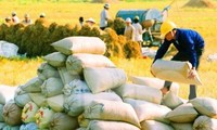 Ảnh minh họa. Nguồn: Internet