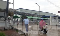Công nhân Tenma Việt Nam vẫn làm việc bình thường ngày 26/5. Ảnh: Nguyễn Thắng