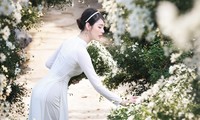 9X Phú Thọ đẹp tinh khôi bên hoa cúc hoạ mi