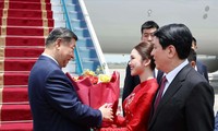 Nữ sinh chia sẻ về vinh dự được tặng hoa đón Tổng Bí thư, Chủ tịch nước Tập Cận Bình 
