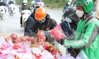 Xe hoa quả bị ùn ứ nơi biên giới quay đầu về Hà Nội chờ giải cứu