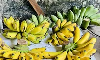 Làng quê có đặc sản ‘tiến vua’ được nhiều người săn đón
